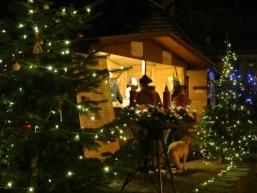 Deutschlands erstes Christbaumdorf