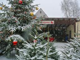 Erstes Christbaumdorf Deutschlands - im Herzen des Spessarts