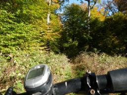 Fahraktiver Trail von der Bettlersruhe beginnend