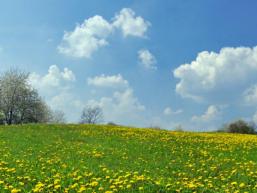 Offene Landschaft im Spessart