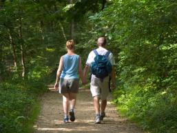 Wanderweg Richtung Wermersgrund