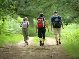 Mischwald erwandern im Spessart