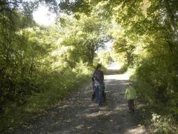 Wanderweg Richtung Sodenberg