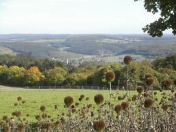 Immer wieder schöne Ausblicke am Sodenberg