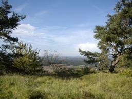 Blick vom Sodenberg