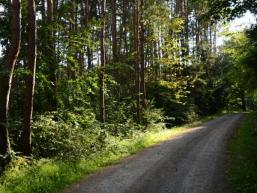 Radwege im Sinngrund