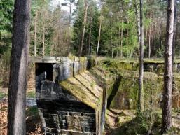 Vergessener Brückenfuß im Spessartwald