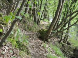 So macht Wandern auf Pfaden Spaß!