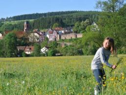 Blick von den Sinnwiesen auf die Altstadt von Rieneck