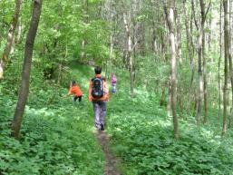 Wald- und Wasserlehrpfad 