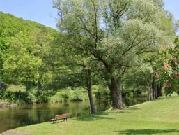 Am Ufer der Fränkischen Saale 