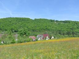 Blick auf Michelau