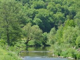 Die Saale im Bereich Campingplatz Roßmühle 