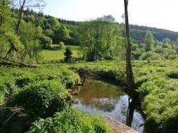 Malerischer Bachlauf der Aura