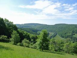 Malerisches Saaletal bei Gräfendorf/ Michelau