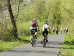 Der Radweg entlang des Mains