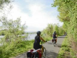 Der Radweg entlang des Mains