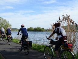 Der Radweg entlang des Mains