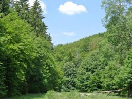 Malerisches Spessarttal bei Rieneck