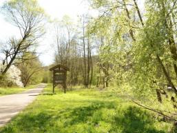 Radweg im Sinngrund 