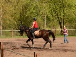 Reiten lernt man durch Reiten