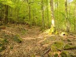 Naturwanderweg