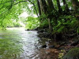 Flussromantik an der Sinn