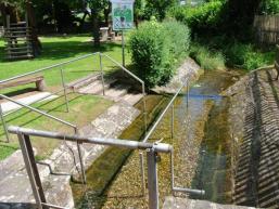 Frisches Wasser für deine Gesundheit