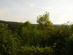 Das Fließenbachtal im Spessart