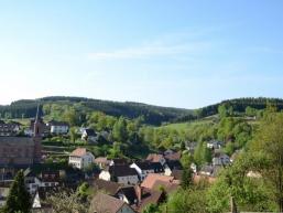 Blick auf Fellen vom Pilzweg