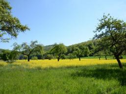 Liebliches Saaletal bei Schonderfeld