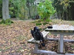 Tisch und Bänke laden zum Verweilen ein