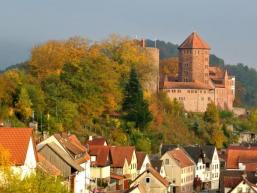 Blick auf die Burg Rieneck