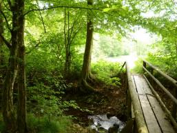 Wandern zum Tretstein im Saaletal