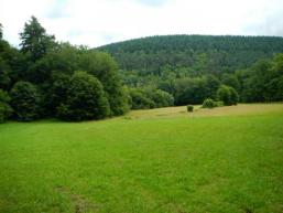 Naturschutzgebiet Schondratal bei Gräfendorf