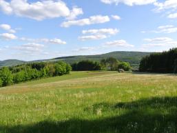 Wiese am Fellenberg