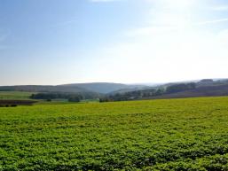 Fernblick bei Dittlofsroda