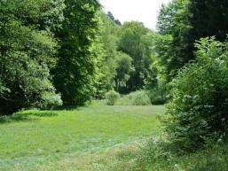 Wald- und Wiesenlandschaft im Spessart