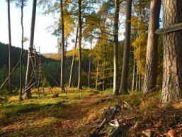 Kurzweiliges Wandern im Spessart