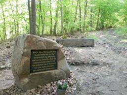Am Rande von Rieneck am Wanderweg