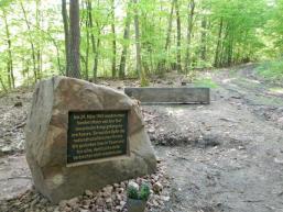 Am Rande von Rieneck am Wanderweg