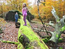 Abenteuerspielplatz Wald