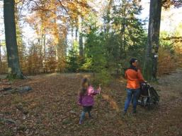 Herbstlicher Spessartwald erleben