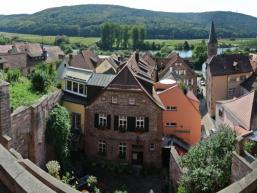 Ausblick aus dem Ronkarzgarten