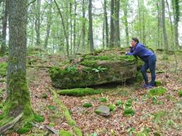 Wanderziel Slorburg bei Gemünden