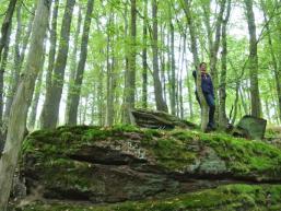 Die Slorburg im Spessart