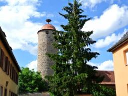 Stadtmauerturm mit Storchennest