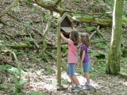 Rätzelraten für Kinder auf dem Waldpfad im Spessart