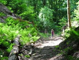 Urlaub mit Kindern im Spessart