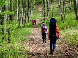 Der Wanderweg zur Burg wird zusehens steiler